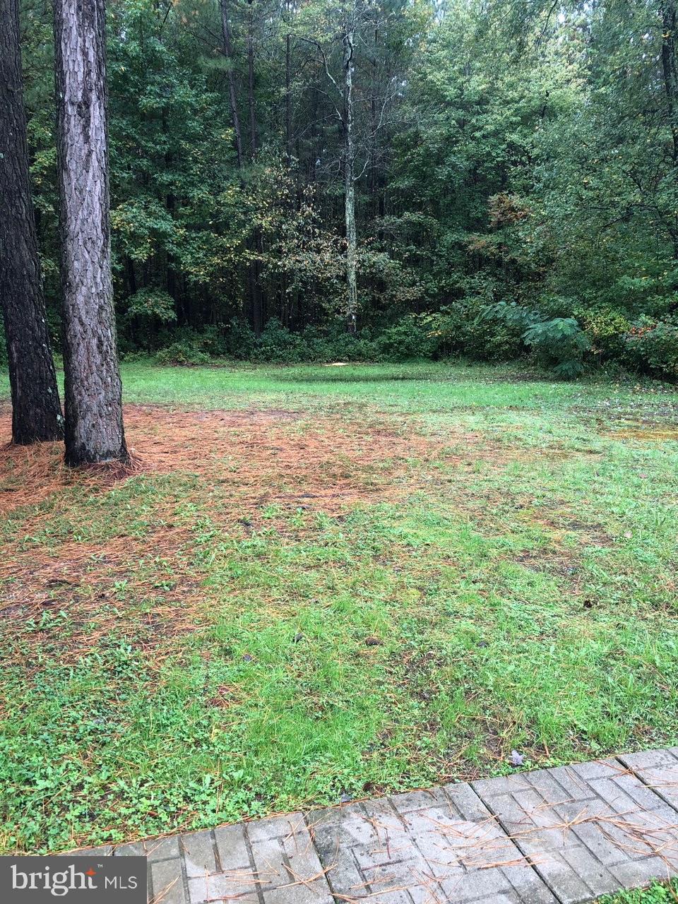 11510 Pine Pole Road Princess Anne, MD 21853 - Photo 42 of 44 Side Yard between house and garage
