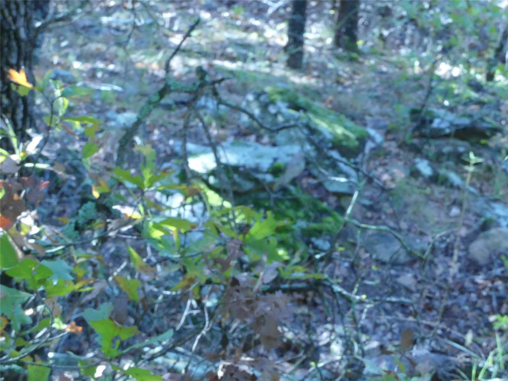 1746 Dog Kennel Road Sunset, TX 76270 - Photo 20 of 29 View of nature