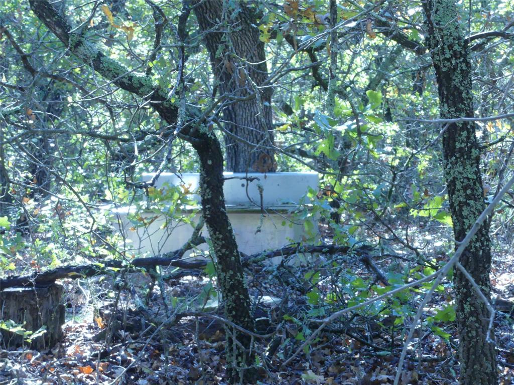 1746 Dog Kennel Road Sunset, TX 76270 - Photo 21 of 29 View of undeveloped land