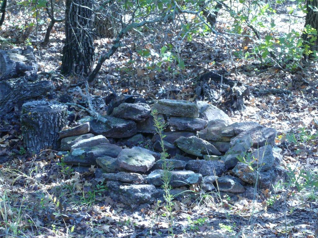 1746 Dog Kennel Road Sunset, TX 76270 - Photo 22 of 29 View of local wilderness