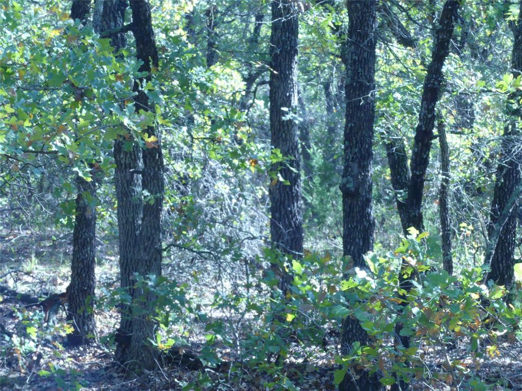 1746 Dog Kennel Road Sunset, TX 76270 - Photo 24 of 29 View of woods