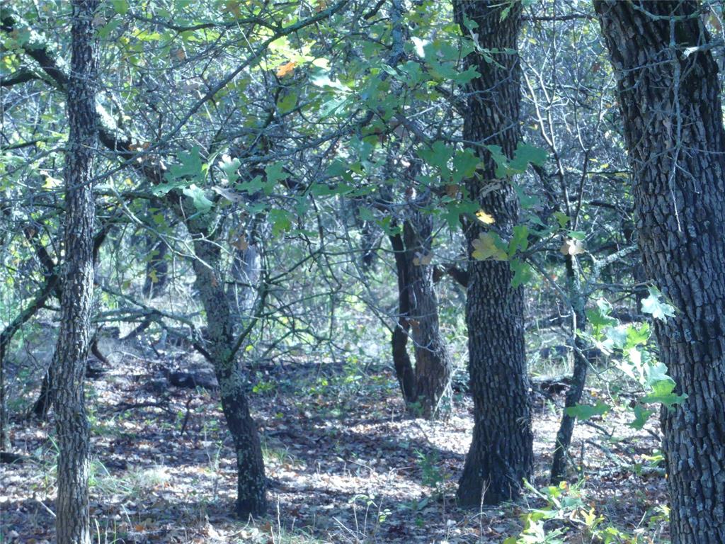 1746 Dog Kennel Road Sunset, TX 76270 - Photo 25 of 29 View of undeveloped land