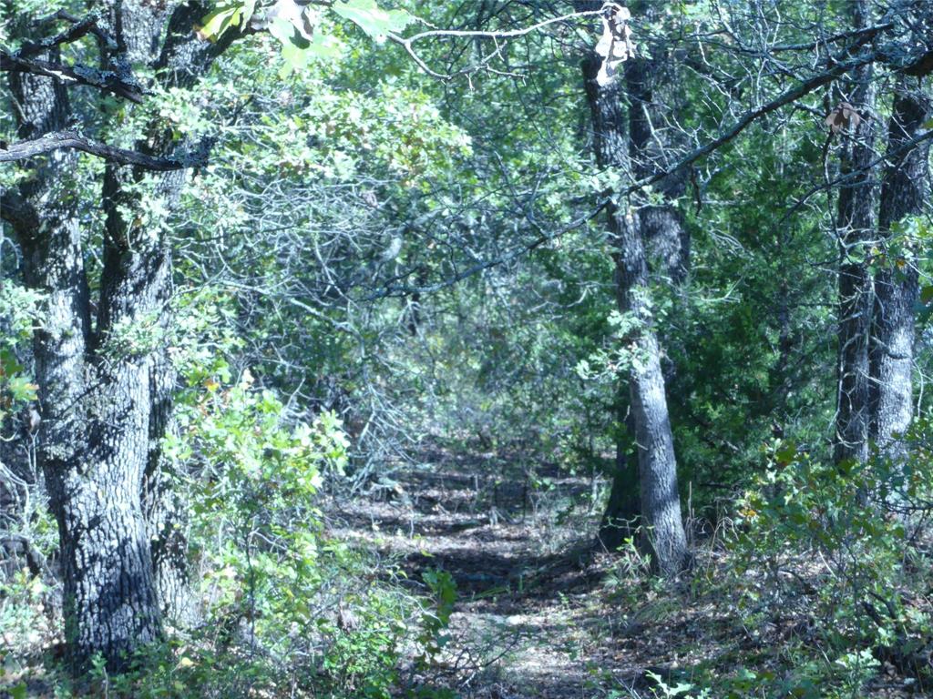 1746 Dog Kennel Road Sunset, TX 76270 - Photo 26 of 29 View of local wilderness