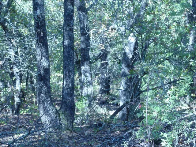 $299,000 | 1746 Dog Kennel Road, Sunset, TX 76270