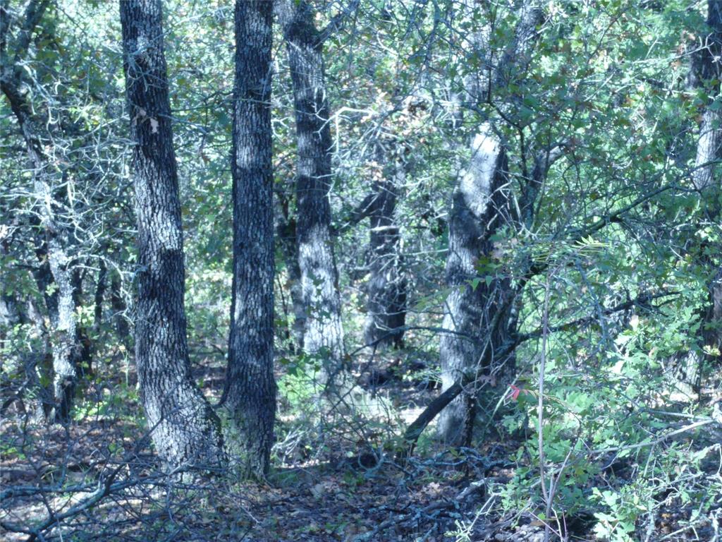 1746 Dog Kennel Road Sunset, TX 76270 - Photo 27 of 29 View of undeveloped land