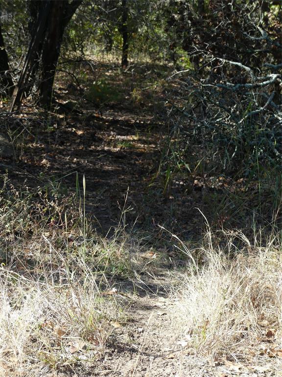 1746 Dog Kennel Road Sunset, TX 76270 - Photo 7 of 29 View of undeveloped land