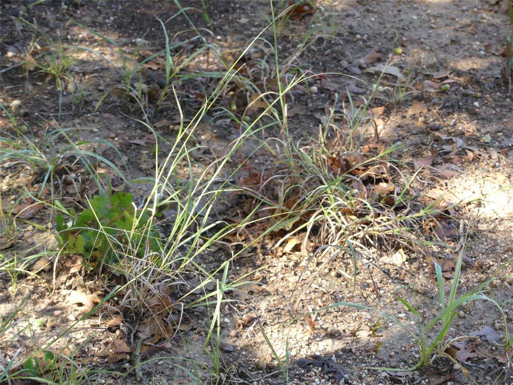 1746 Dog Kennel Road Sunset, TX 76270 - Photo 9 of 29 Exterior view