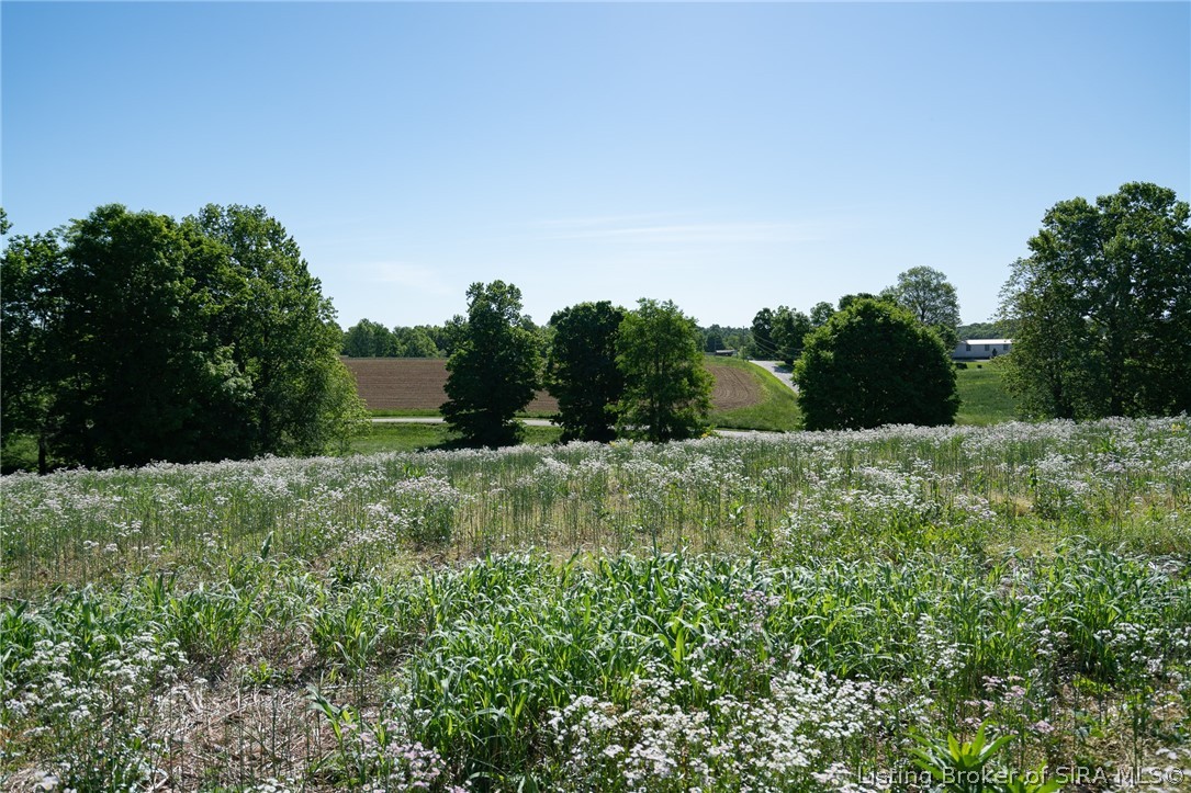10 Book Road Floyds Knobs, IN 47119 - Photo 7 of 10 Gallery Image 7