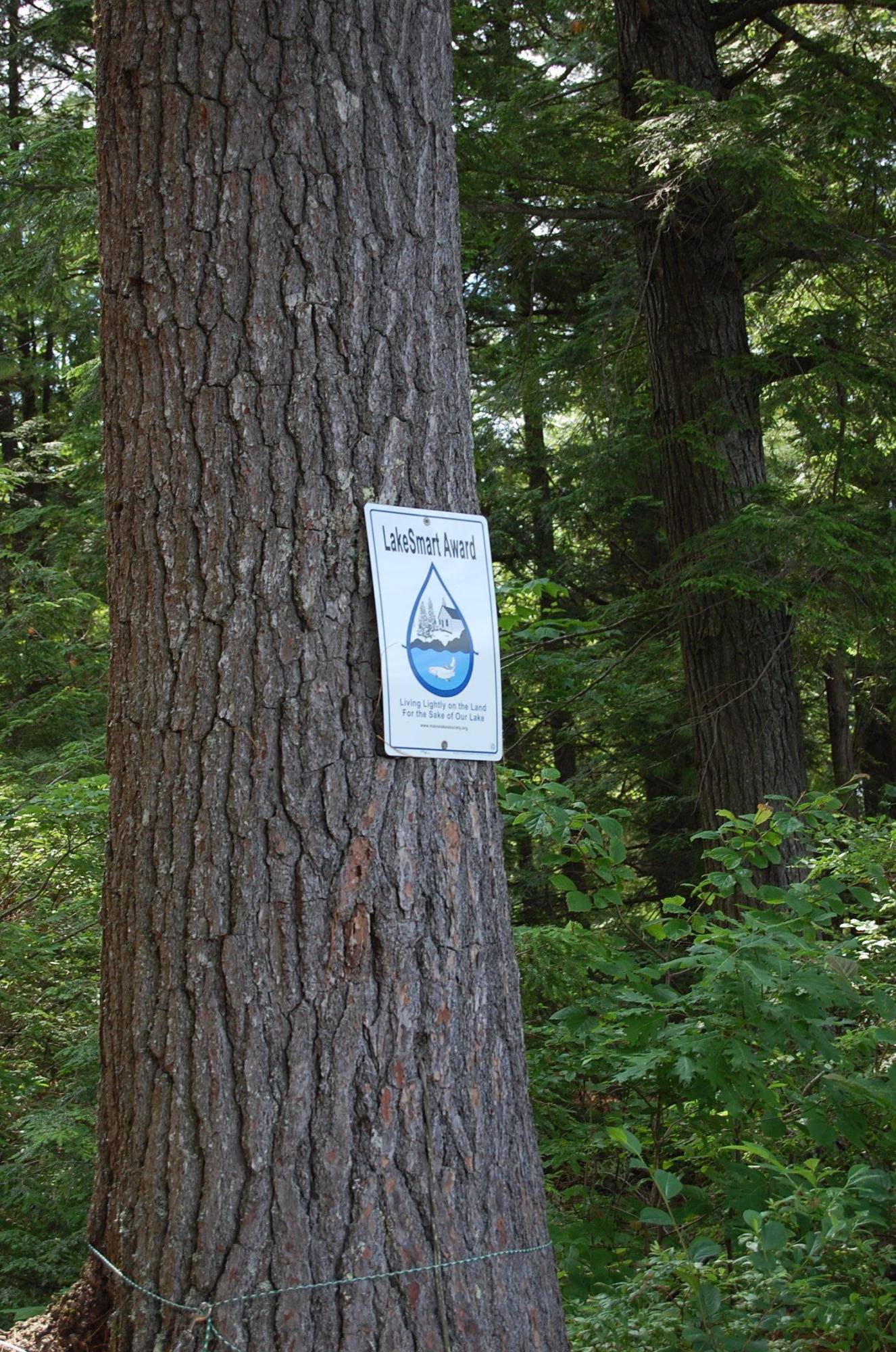 314 Timber Point Road Belgrade, ME 04917 - Photo 75 of 90 DSC_3763