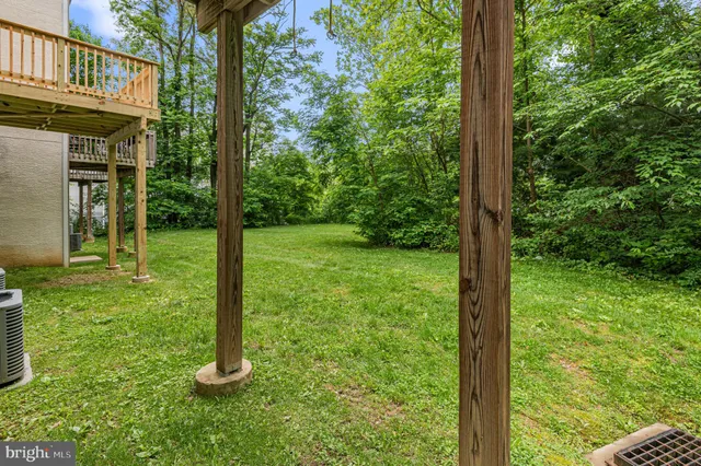 a view of a trees in a yard
