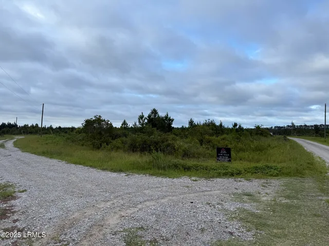 $125,000 | 0 Grady Mixon Road, Varnville, SC 29944