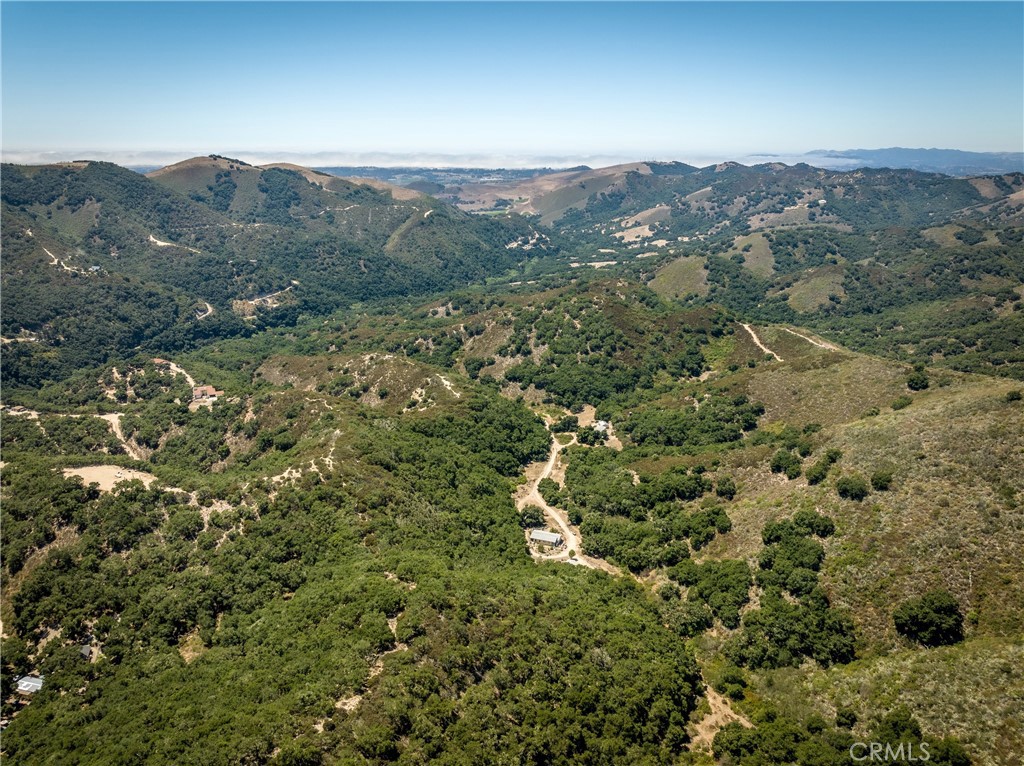 an aerial view of mountain with trees