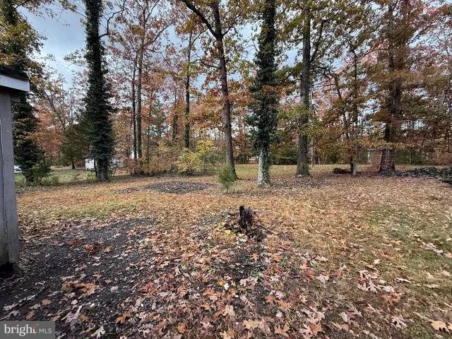 a view of a yard with trees