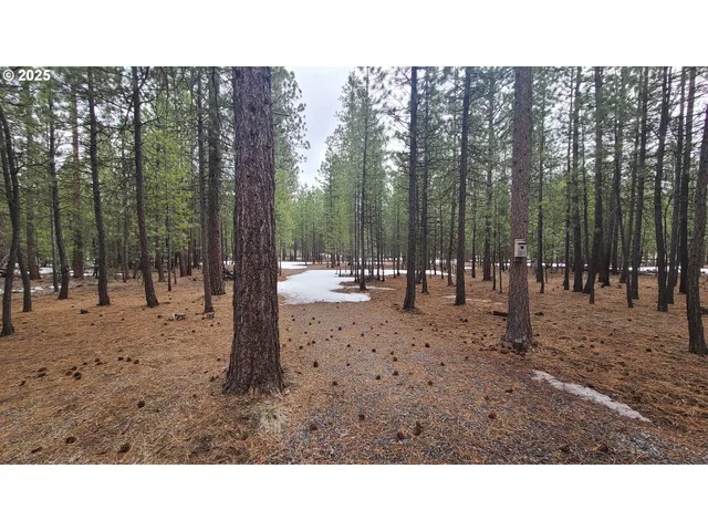 a view of outdoor space with trees in the background