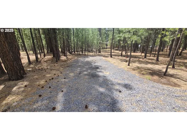 a view of a backyard of the house