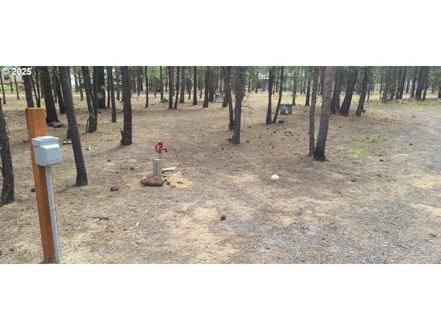 a view of an outdoor space