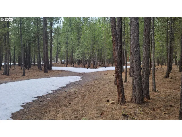 a black and white photo of a house