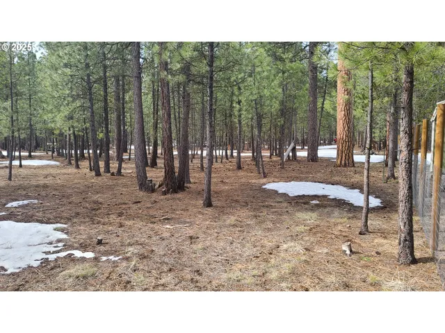 a outdoor view having patio