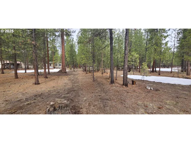 a view of outdoor space with trees