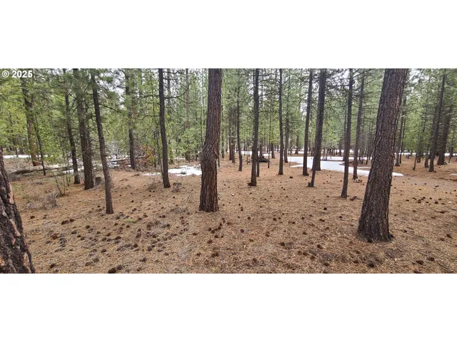 a view of outdoor space with lots of trees