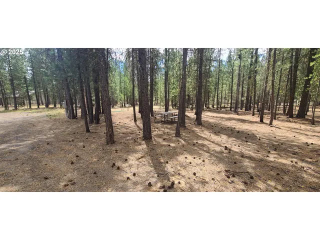 a view of outdoor space with trees