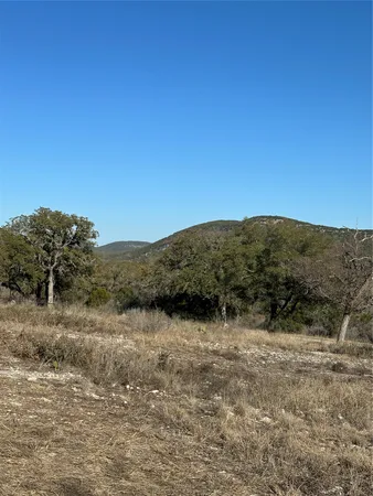 a view of mountain and tree