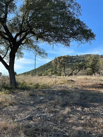 a view of a yard with a tree
