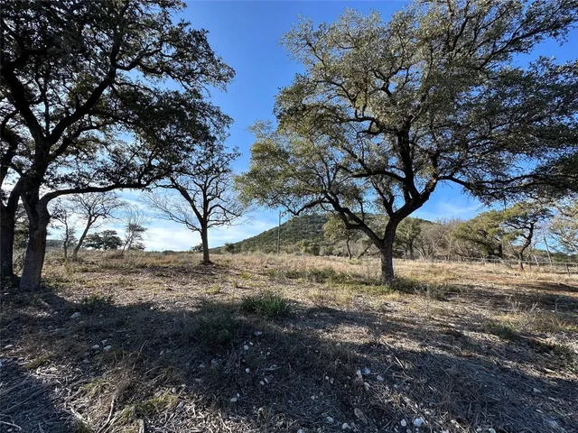 a view of a yard with large trees