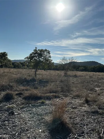 a view of a dry yard with trees