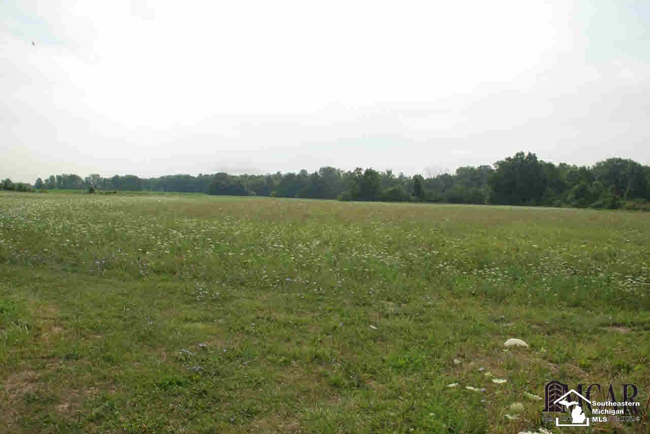 11074 Finzel Road Carleton, MI 48117 - Photo 39 of 41