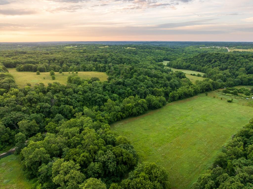 13277 Norris Road Rayville, MO 64084 - Photo 6 of 55