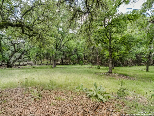 a view of a field of grass and trees