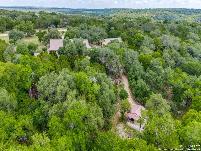 a plant that is in a garden