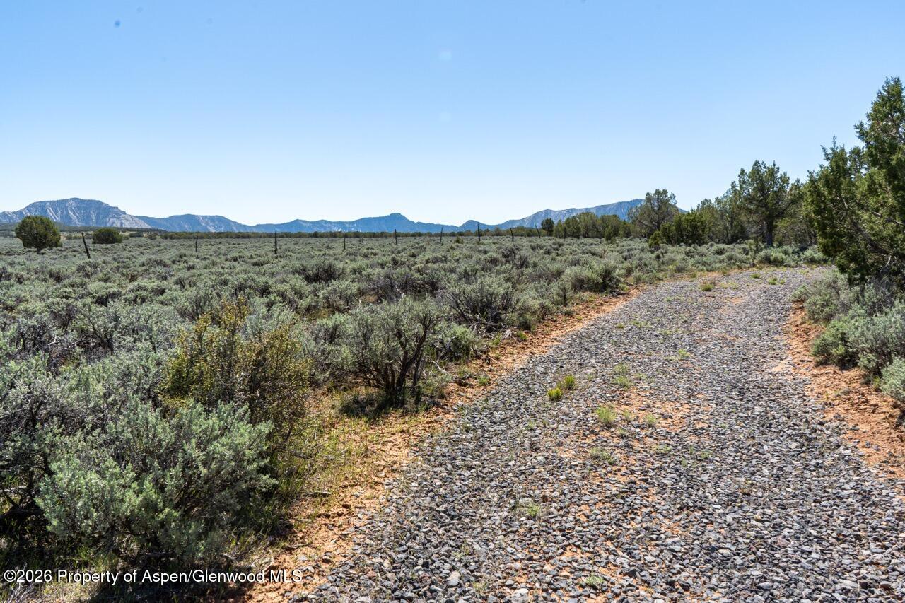 Tbd T Road De Beque, CO 81630 - Photo 17 of 25 17 Large