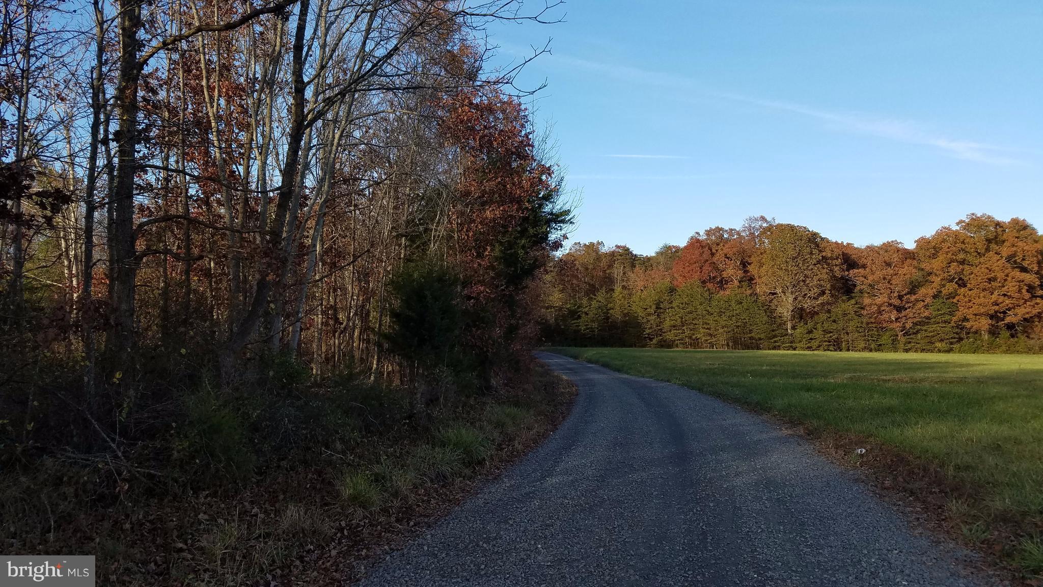 Stringfellow Culpeper, VA 22701 - Photo 1 of 8 View. Subject property on the Left - wooded lot