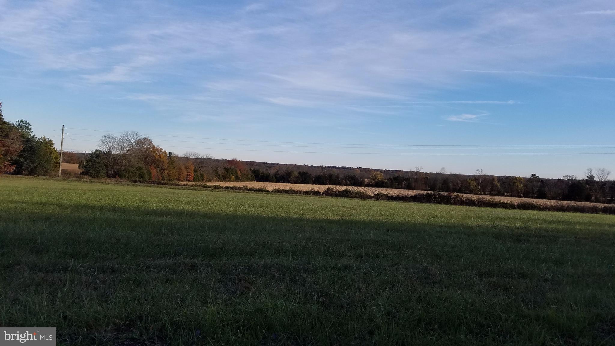 Stringfellow Culpeper, VA 22701 - Photo 2 of 8 View across the road - neighborhood
