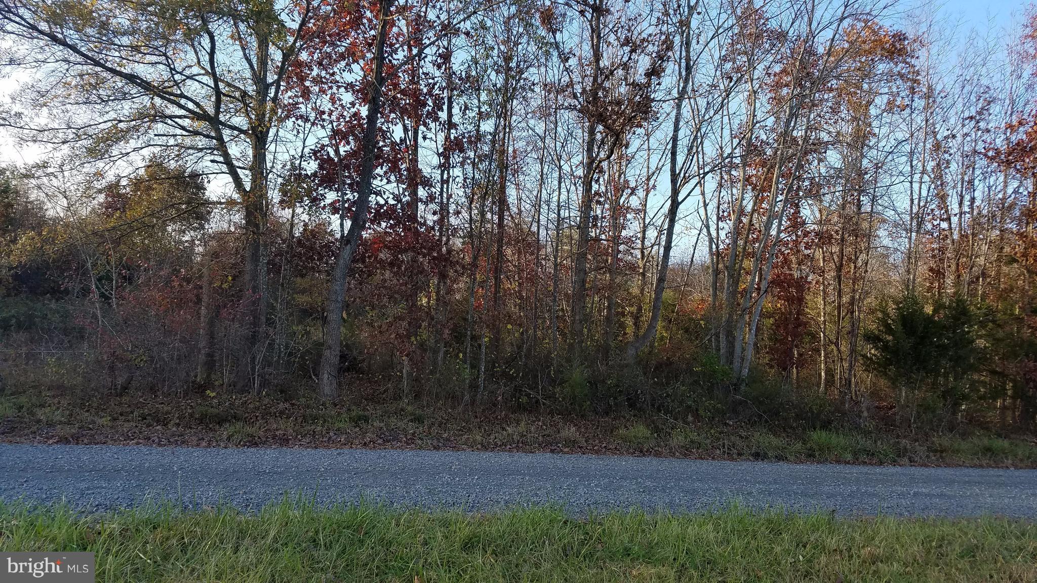Stringfellow Culpeper, VA 22701 - Photo 3 of 8 View