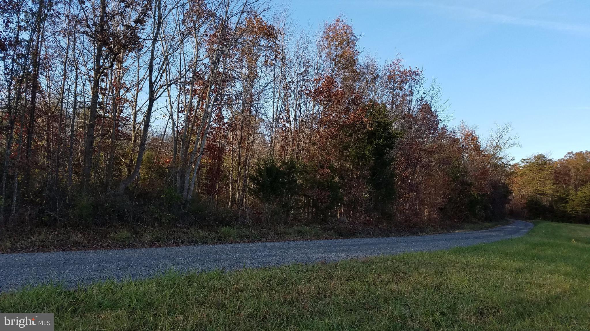 Stringfellow Culpeper, VA 22701 - Photo 4 of 8 View. Subject property total 30 ac+/- wooded lot