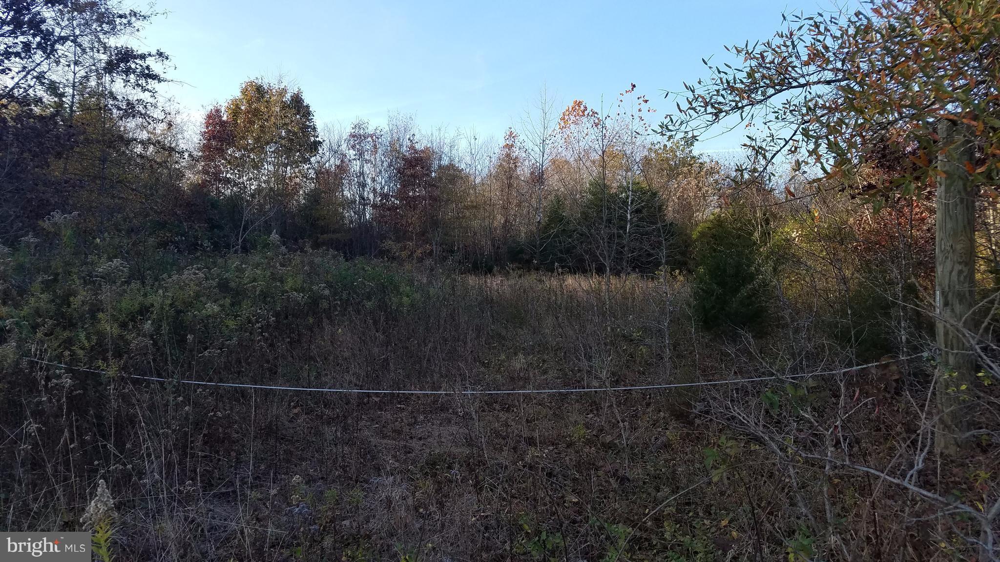 Stringfellow Culpeper, VA 22701 - Photo 6 of 8 View. Subject property 3 lots total 30 ac+/-