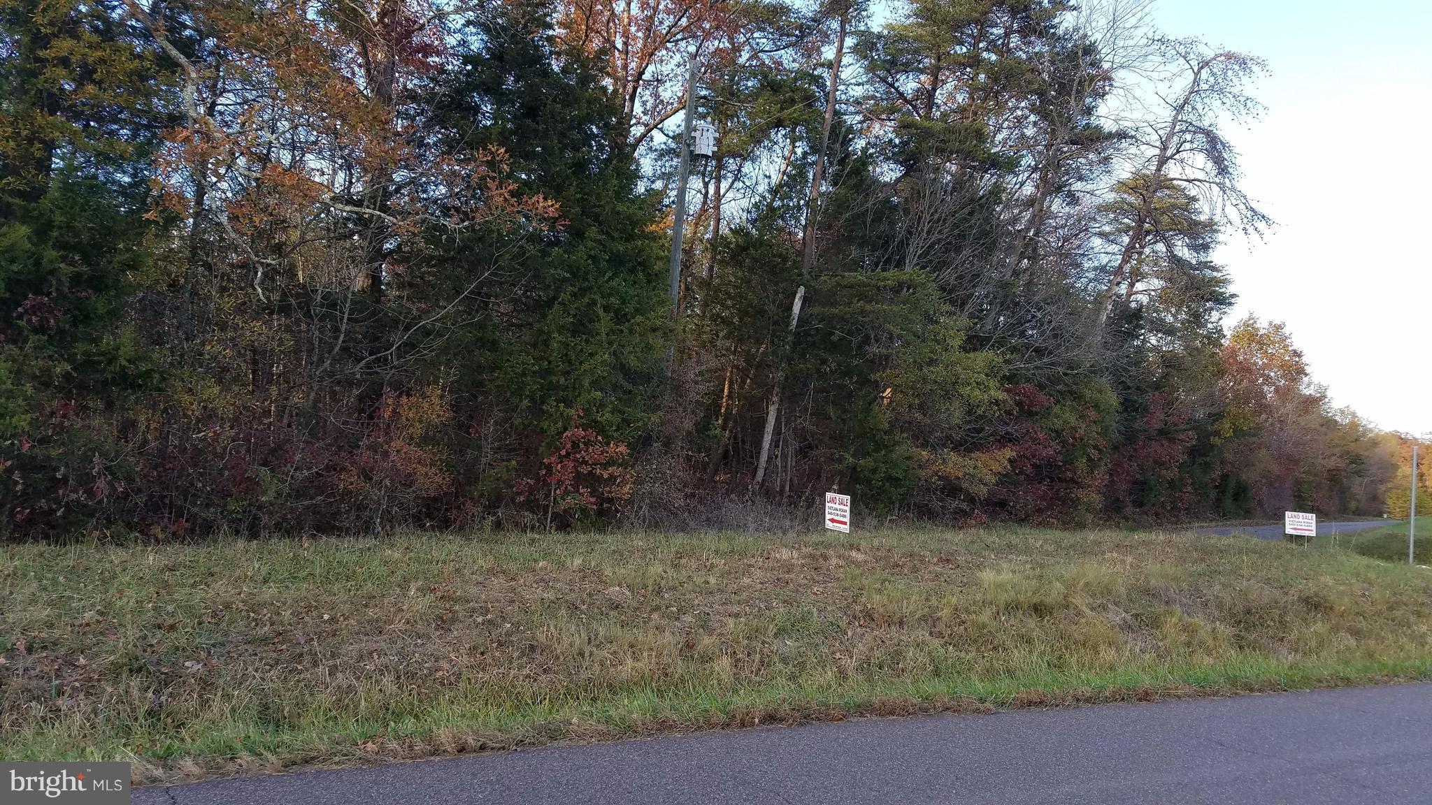 Stringfellow Culpeper, VA 22701 - Photo 7 of 8 View. Subject property 3 lots total 30 ac+/-