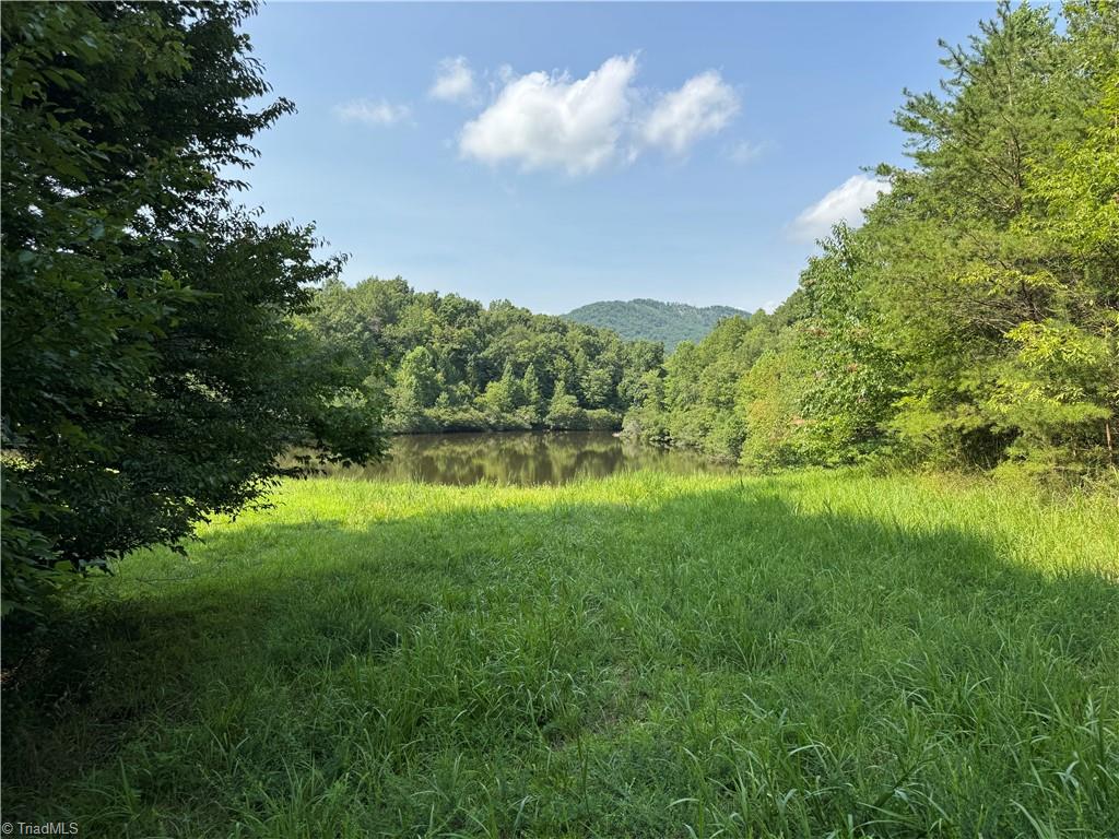 0 Edwards Farm Road King, NC 27021 - Photo 3 of 22