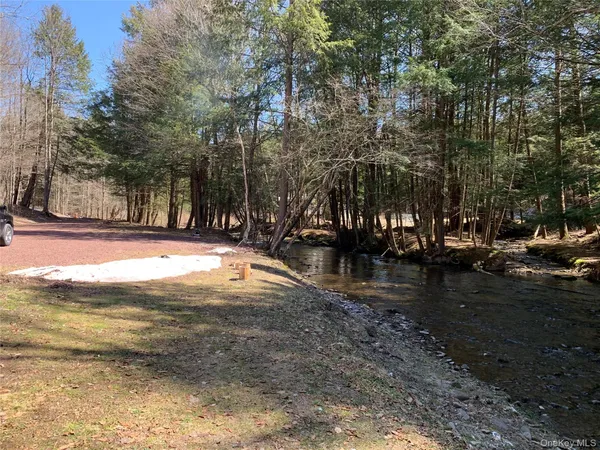 a view of a yard with a trees
