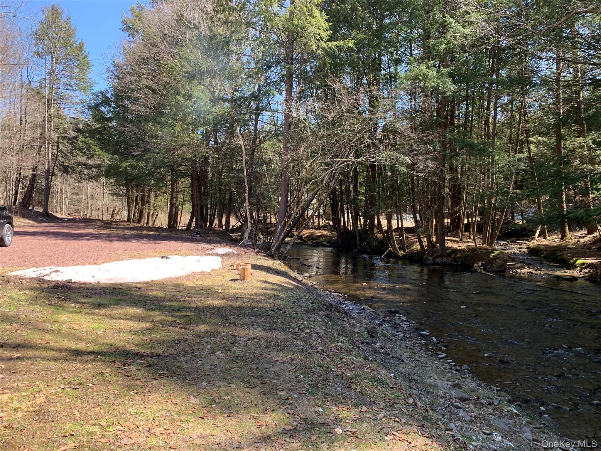 604 Basket Road Long Eddy, NY 12760 - Photo 2 of 37