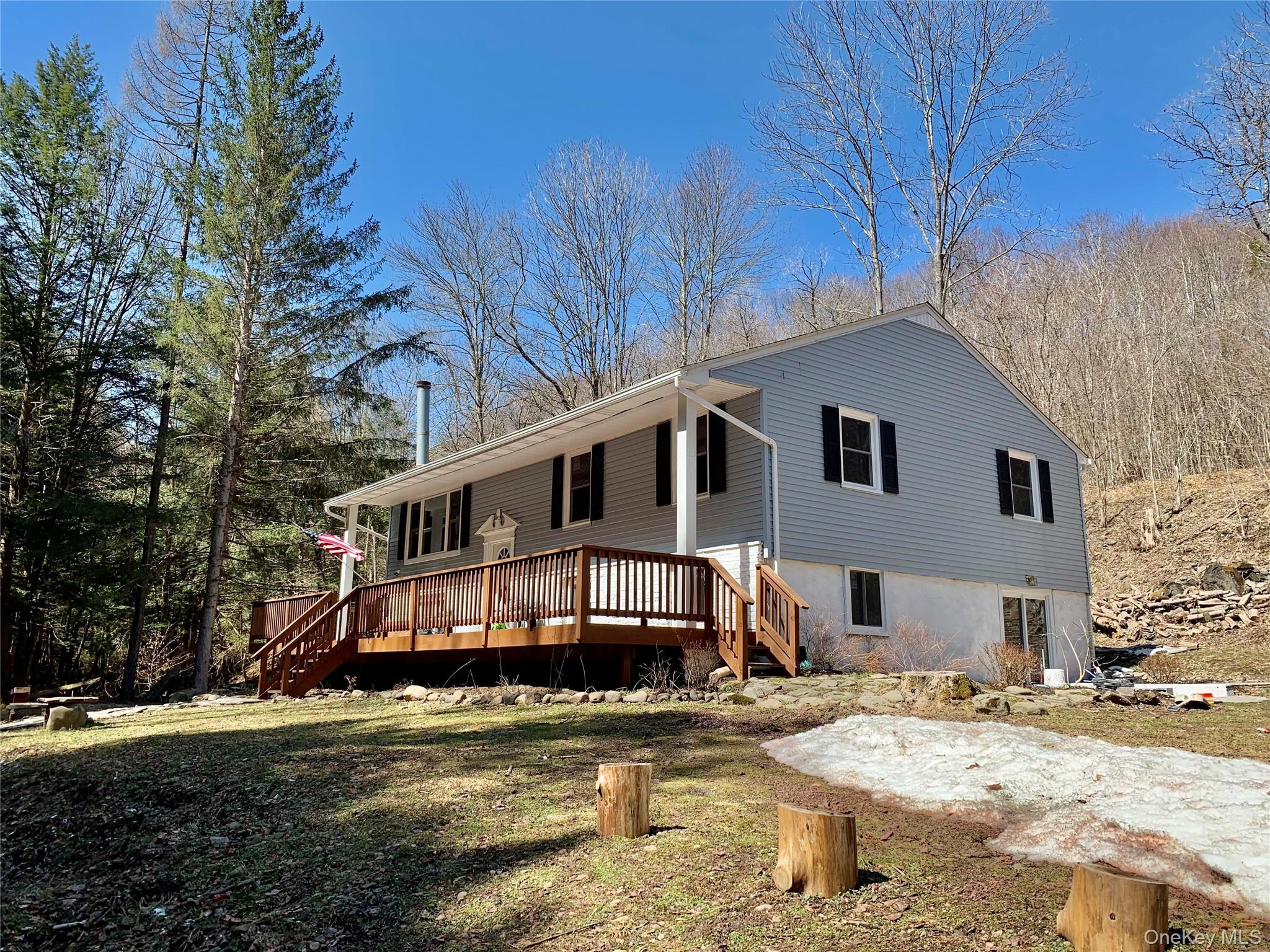 604 Basket Road Long Eddy, NY 12760 - Photo 4 of 37
