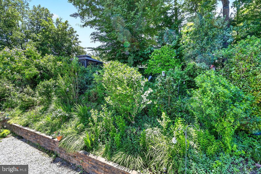 8471 Great Lake Lane Springfield, VA 22153 - Photo 53 of 65 a backyard of a house with lots of green space and a fountain