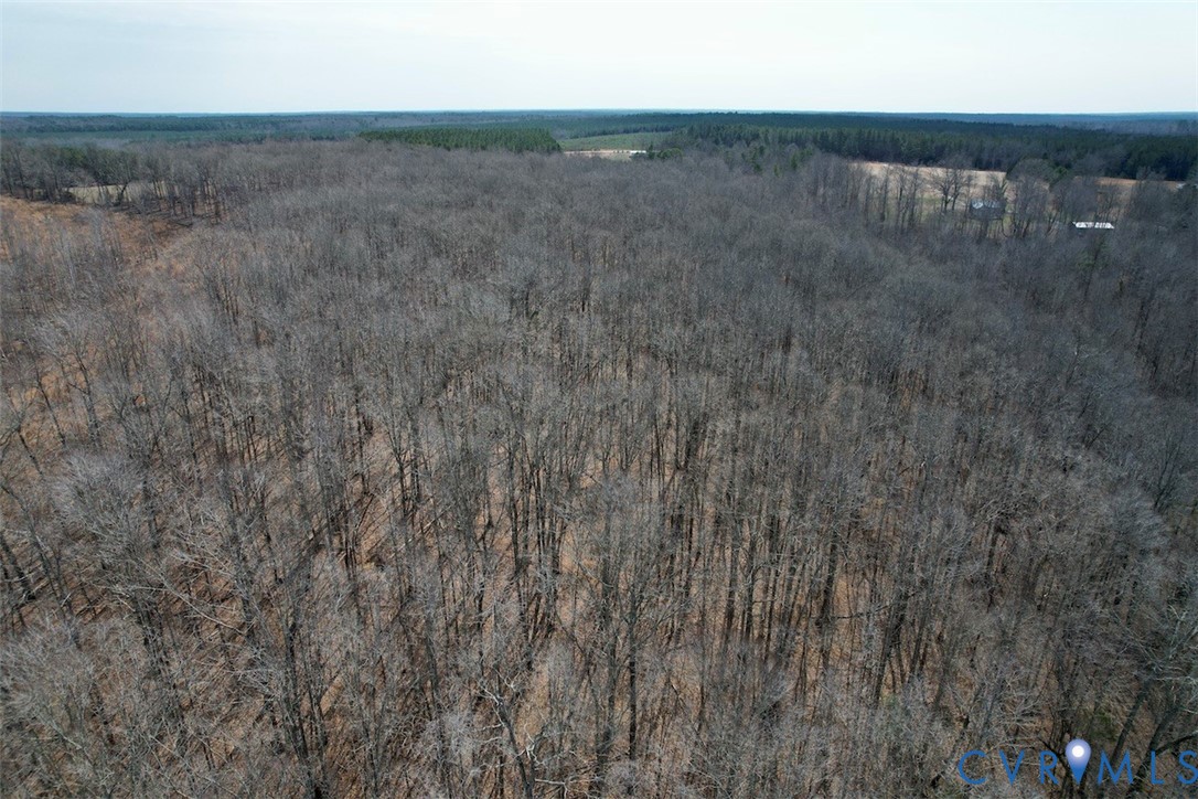 1225 Beech Forest Road Kenbridge, VA 23944 - Photo 30 of 33 a view of a dry yard