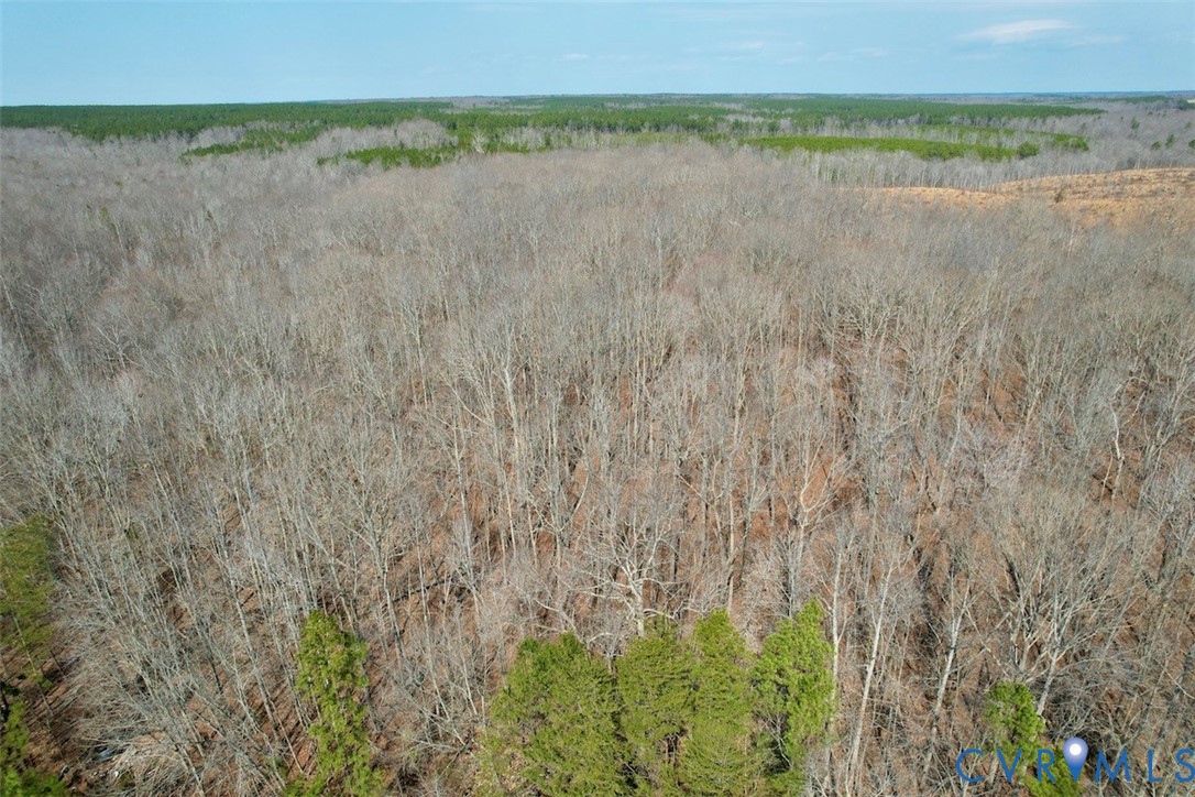 1225 Beech Forest Road Kenbridge, VA 23944 - Photo 32 of 33 a view of a lake with a field and trees