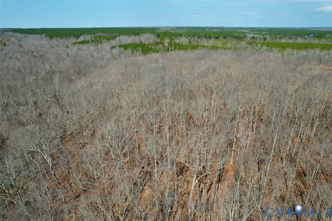 1225 Beech Forest Road Kenbridge, VA 23944 - Photo 33 of 33 a view of a field with an ocean view