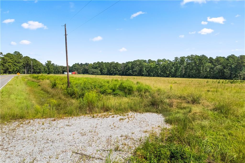 0 Twin Bridges Road Elmer, LA 71424 - Photo 3 of 12 Gallery Image 3