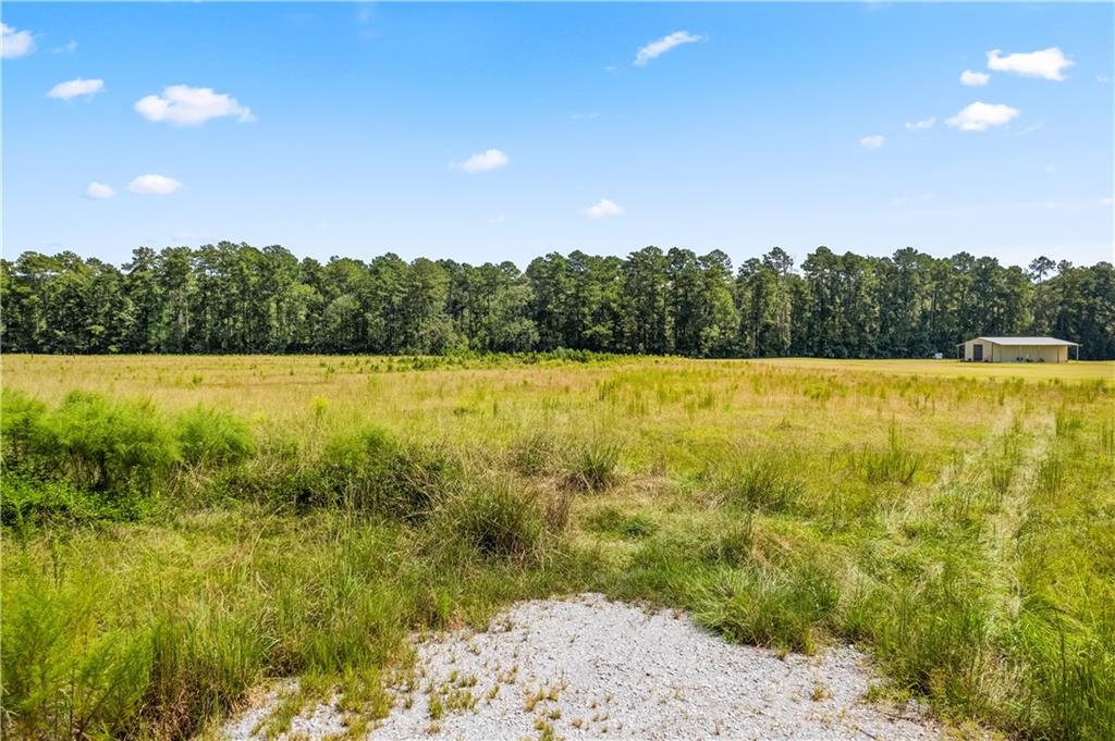 0 Twin Bridges Road Elmer, LA 71424 - Photo 4 of 12 Gallery Image 4